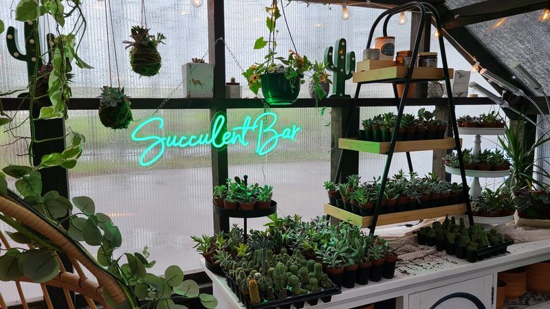The succulent selection is a major draw