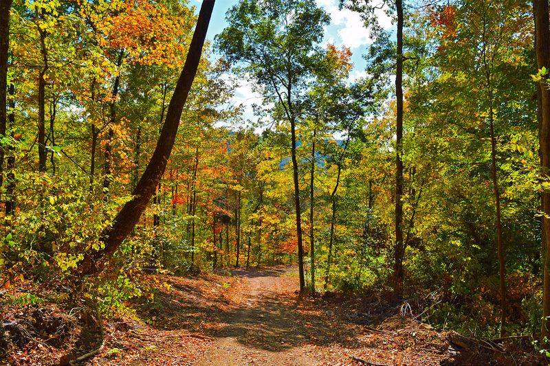 Perfect Location Near Tennessee State Parks
