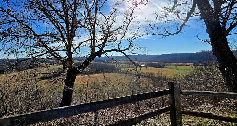 Baker Bluff Overlook — Duck River
