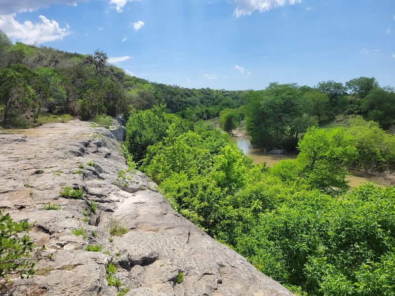 Bald Cypress Trail (Spring Branch)