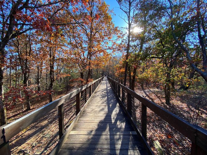 Bald Rock Is Built for Quiet Moments