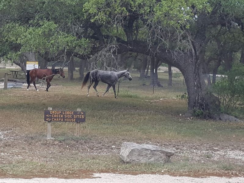 Bandera (Texas Hill Country) Bandera (Texas Hill Country)