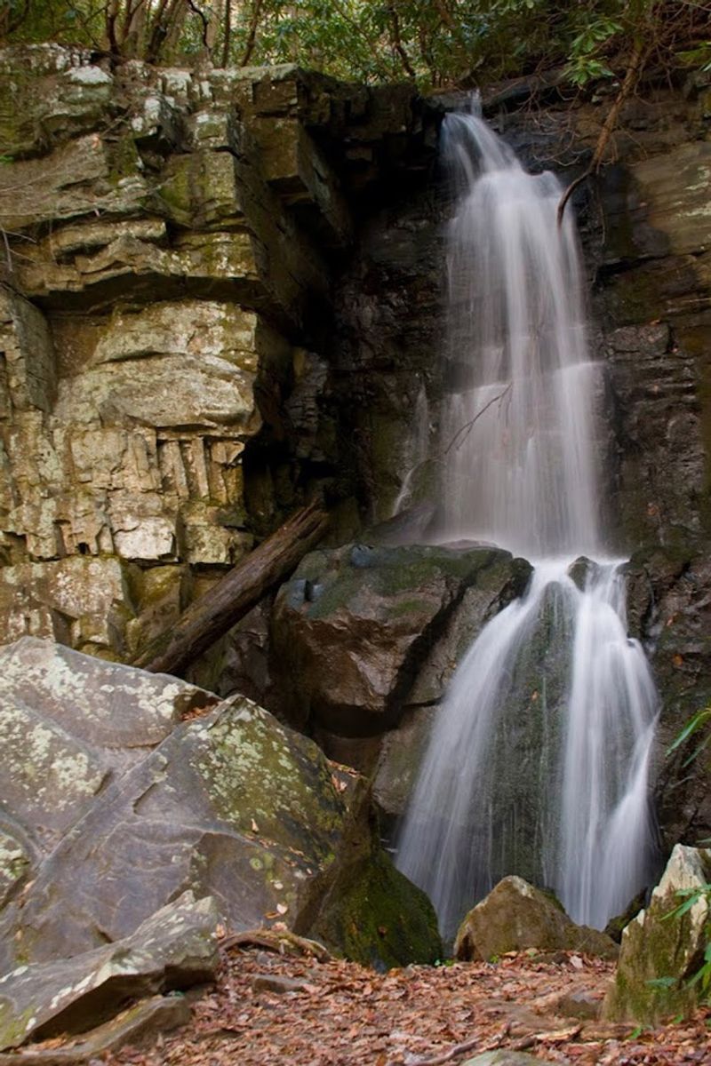Baskins Creek Falls Feels Like A Quiet Escape From The Crowds Baskins Creek Falls Feels Like A Quiet Escape From The Crowds