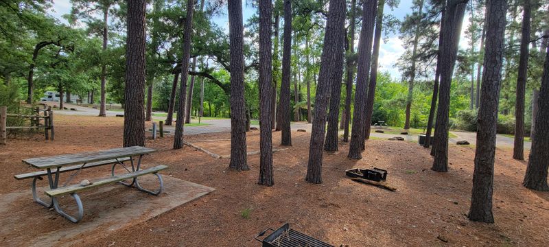 Bastrop State Park (Bastrop)