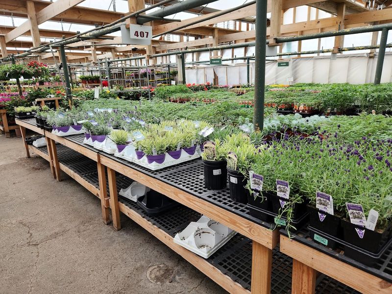 Bates Nursery & Garden Center — Nashville Bates Nursery & Garden Center — Nashville