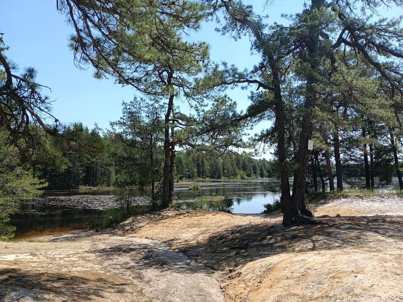 Batsto Lake Trail Batsto Lake Trail
