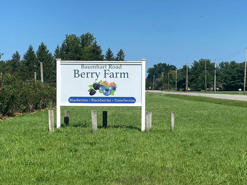 Baumhart Berry Farm, Vermilion Baumhart Berry Farm, Vermilion