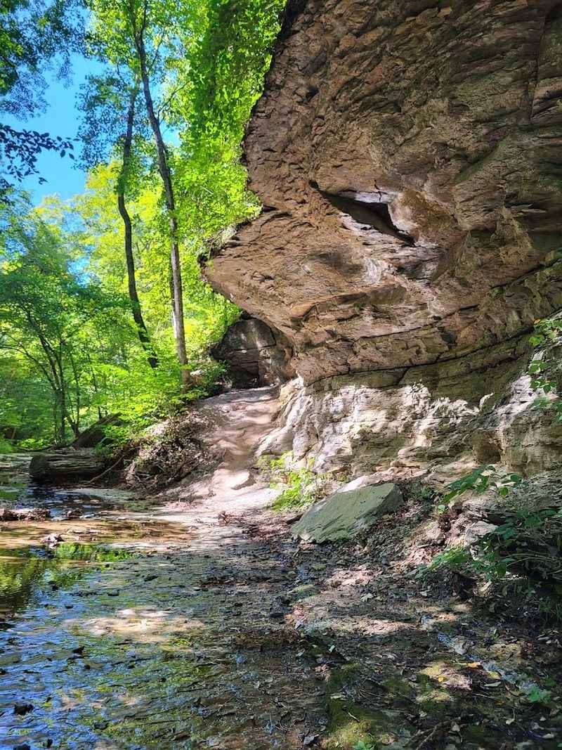 Beaman Park — Ashland City Beaman Park — Ashland City