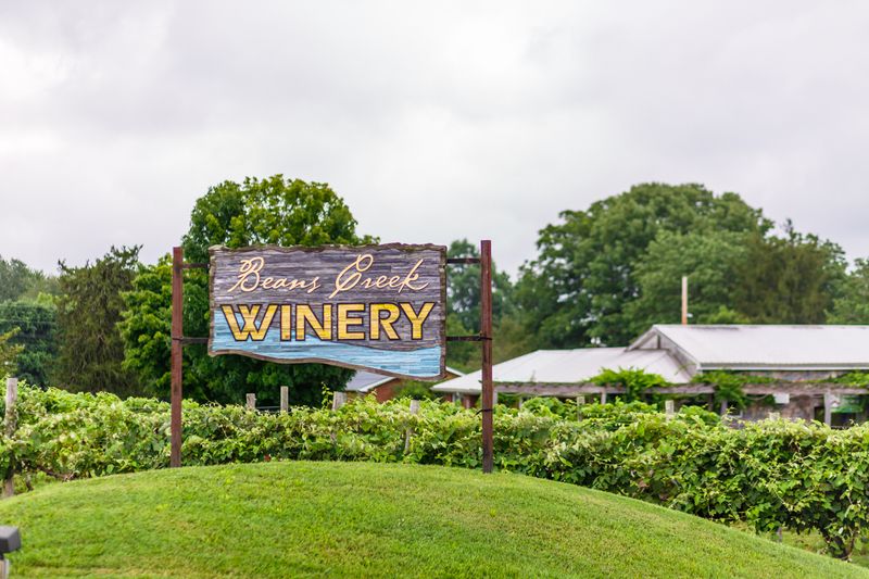Beans Creek Winery — Manchester Beans Creek Winery — Manchester