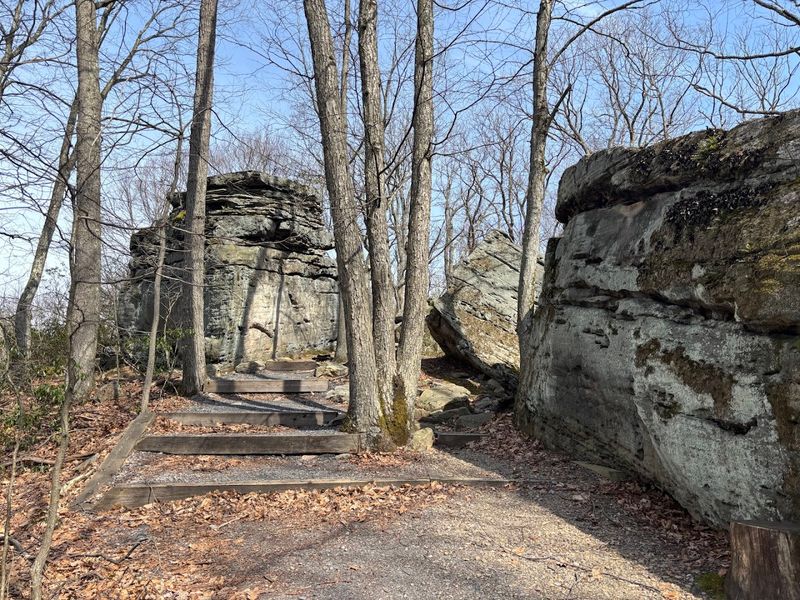 Beartown Rocks - Sigel Beartown Rocks - Sigel