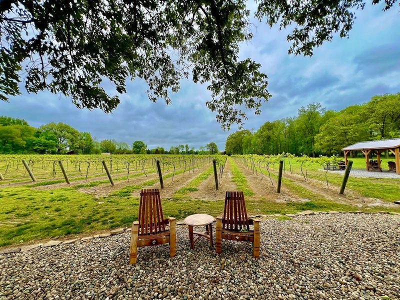 Beau Monde Vineyards — Martin Beau Monde Vineyards — Martin