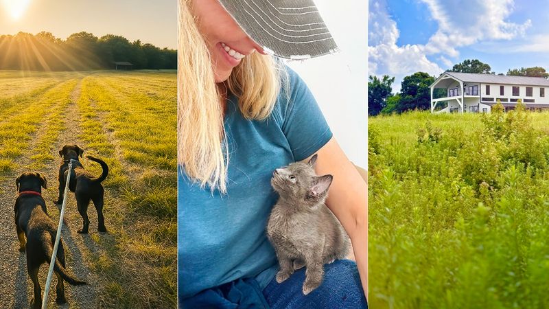 Beautiful Together Animal Sanctuary