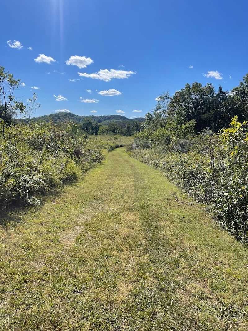 Bells Bend Trails — Nashville Bells Bend Trails — Nashville