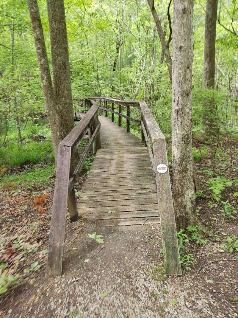 Benton Falls Trailhead Is Tucked Inside The Cherokee National Forest Benton Falls Trailhead Is Tucked Inside The Cherokee National Forest