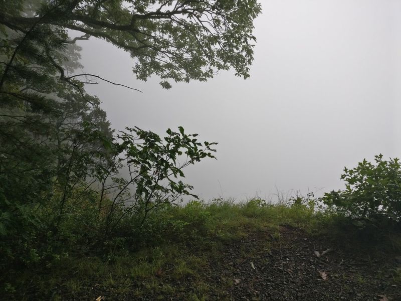 Best Time to Visit Bushkill Best Time to Visit Bushkill