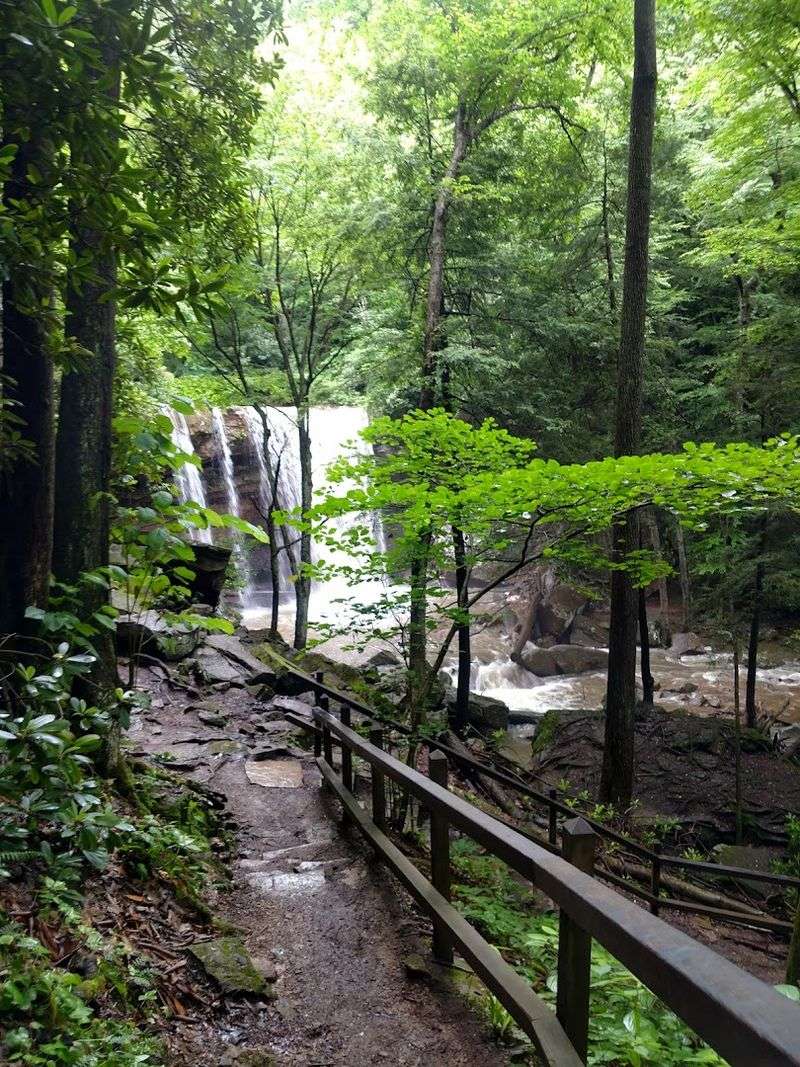 Best Times to Visit