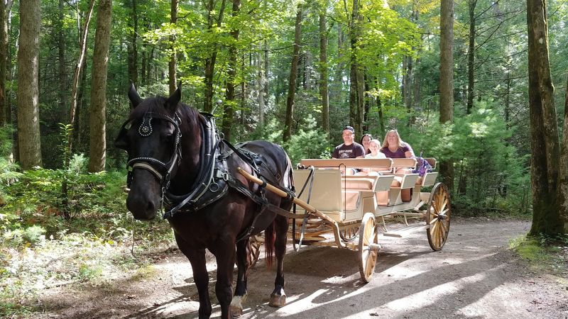 Beyond Horseback Riding: Carriage Rides, Hayrides, and Smoky Mountain Charm Beyond Horseback Riding: Carriage Rides, Hayrides, and Smoky Mountain Charm