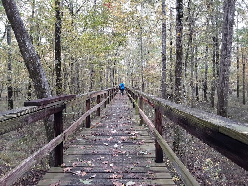 Big Hill Pond State Park — Pocahontas Big Hill Pond State Park — Pocahontas