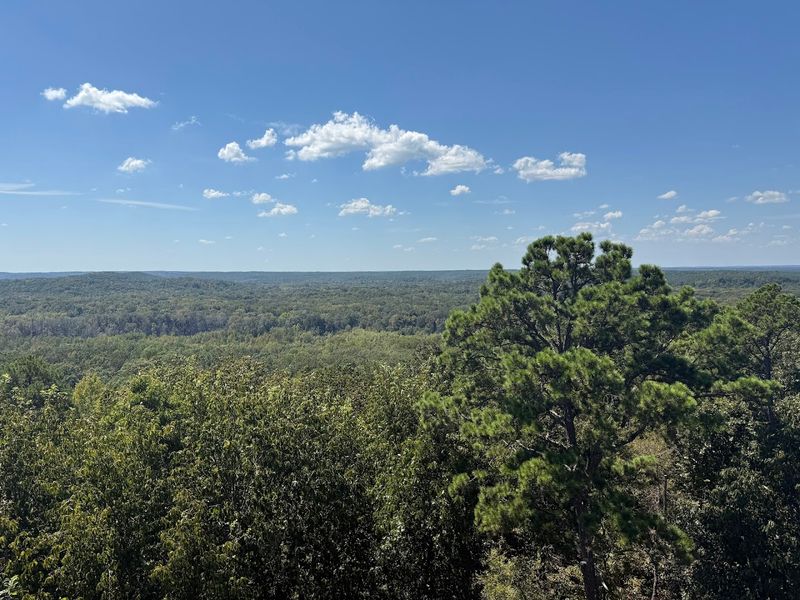 Big Hill Pond State Park — Pocahontas