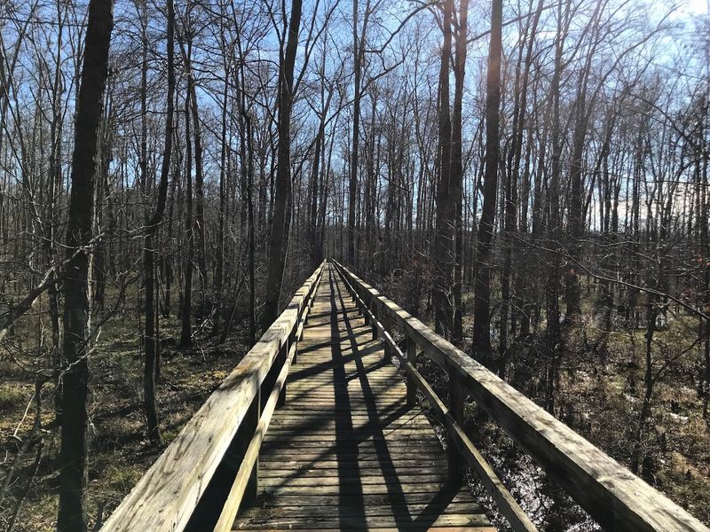 Big Hill Pond State Park — Pocahontas