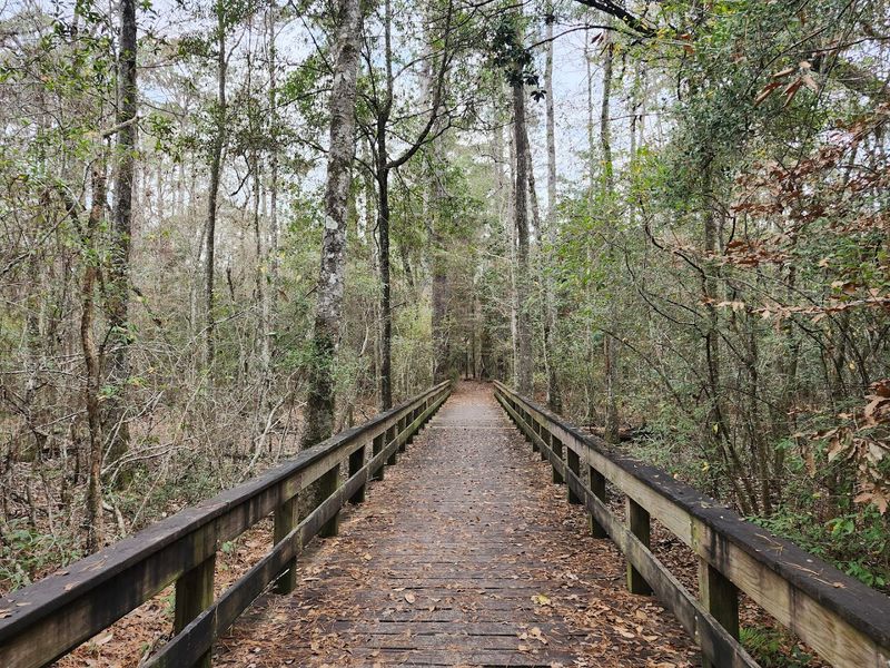 Big Thicket National Preserve (Kountze)