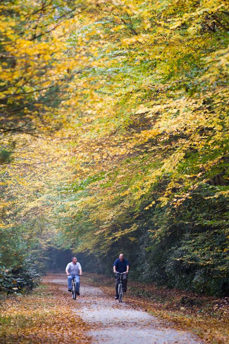 Biking Here Feels Fun, Not Overwhelming