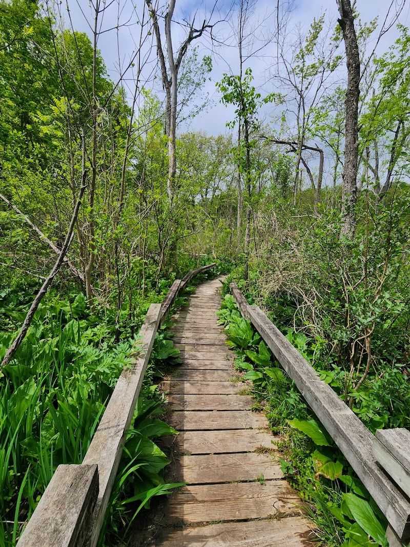 Bird Watching Along the River Is Underrated and Worth Your Morning