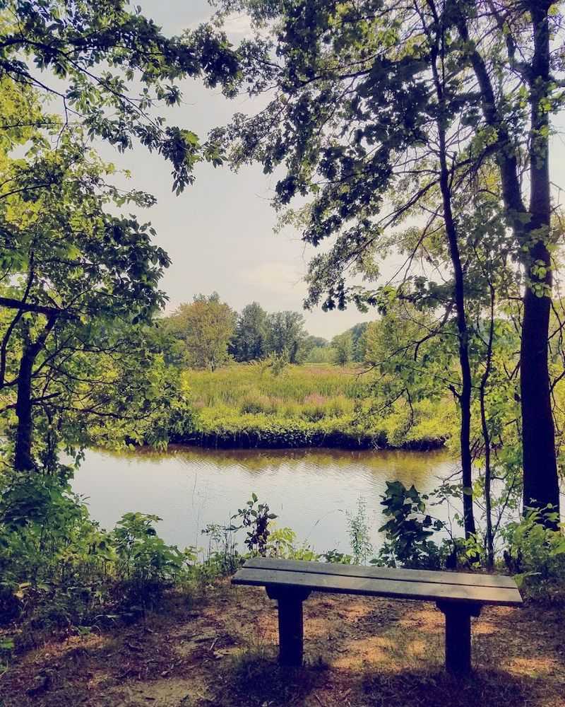 Birds, Beavers, and the Wildlife That Calls This Place Home