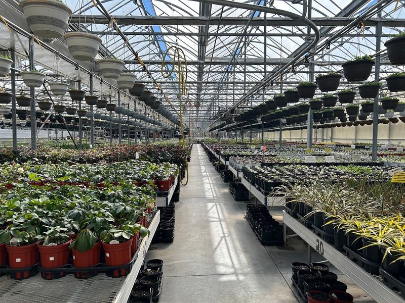 Black Creek Greenhouses
