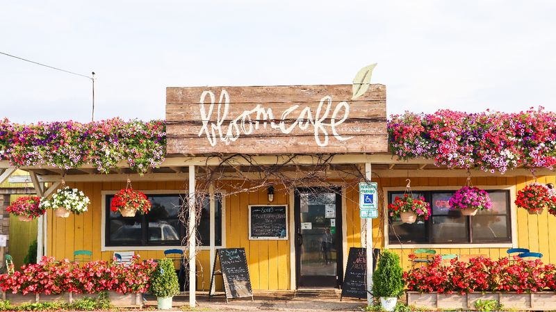 Bloom Cafe At Quality Gardens, Valencia