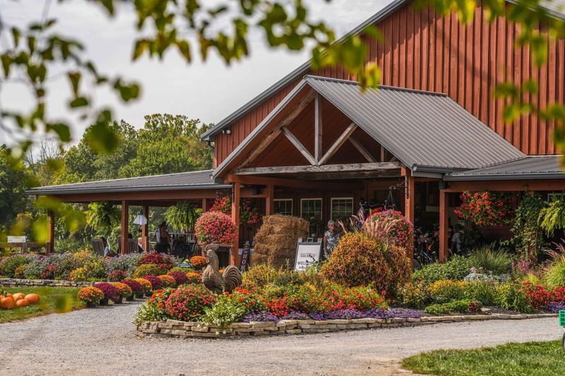 Blooms & Berries Farm Market, Loveland Blooms & Berries Farm Market, Loveland