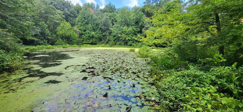 Blue Heron Park Nature Center Blue Heron Park Nature Center