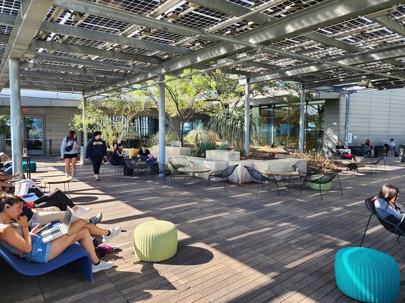 Board Games and Social Spaces