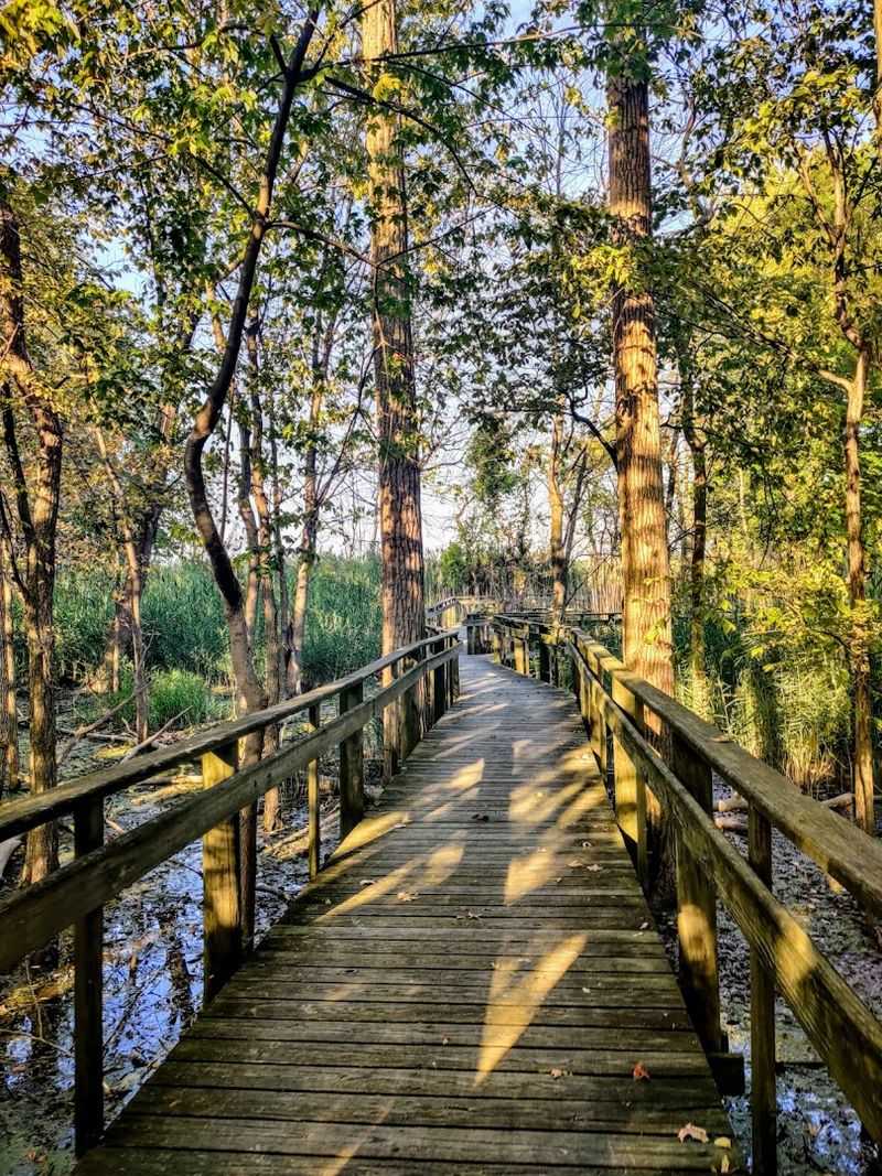 Boardwalk Trail and Nature Center Boardwalk Trail and Nature Center