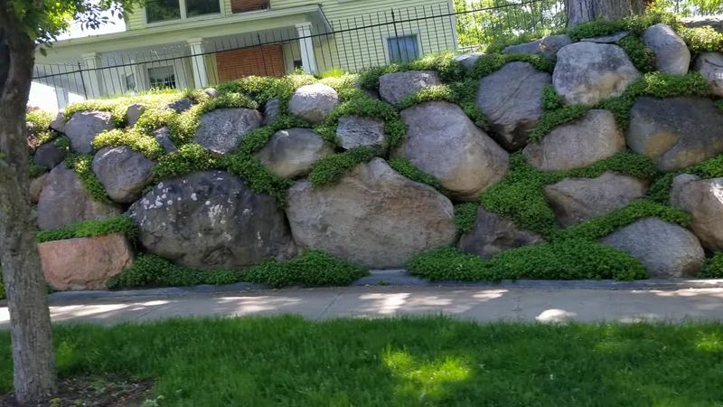 Boulder Walls That Came Straight From Michigan Farmland