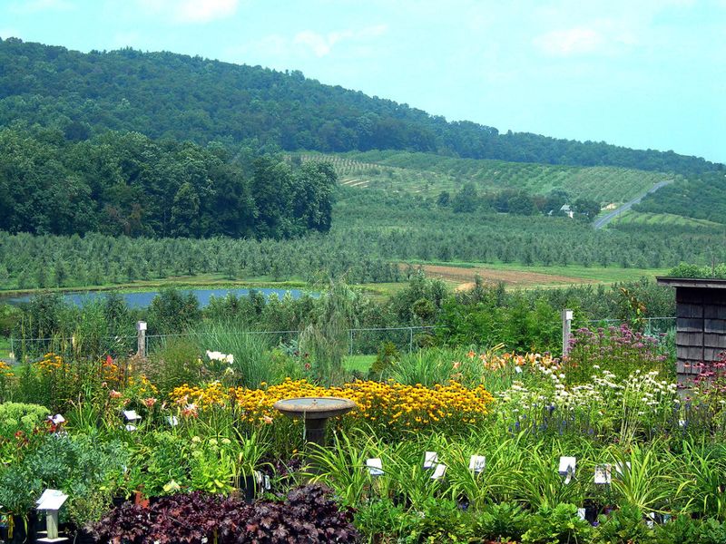 Boyer Nurseries & Orchards, Inc