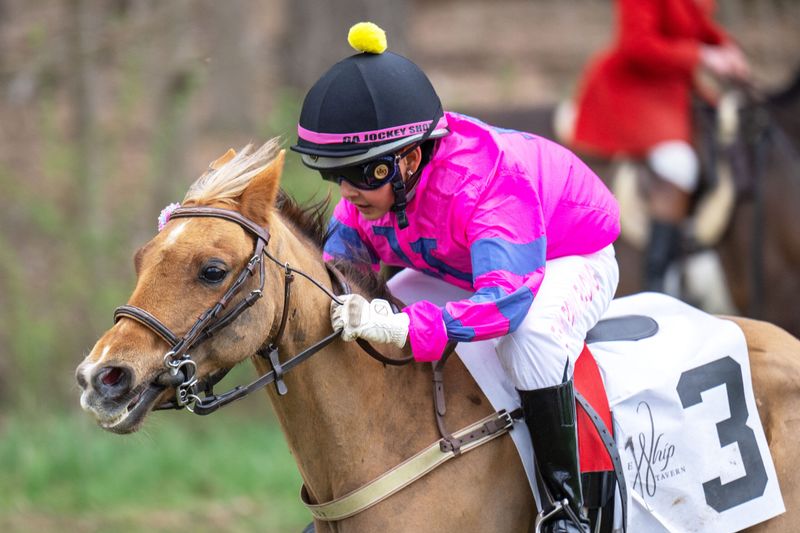 Brandywine Red Clay Alliance Horse Program — West Chester, Pennsylvania