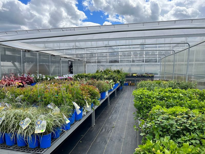 Breezy Acres Garden Center LLC