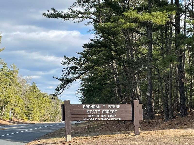 Brendan T. Byrne State Forest / Whitesbog Village