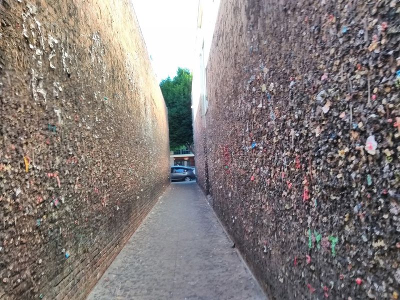 Bubblegum Alley