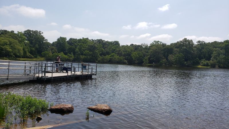 Budget-Friendly Fishing Opportunities Budget-Friendly Fishing Opportunities