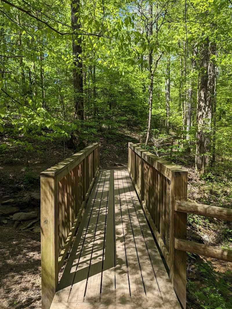 Burgess Falls River Trail — Burgess Falls State Park
