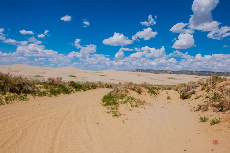 Killpecker Sand Dunes (Sweetwater County) Killpecker Sand Dunes (Sweetwater County)