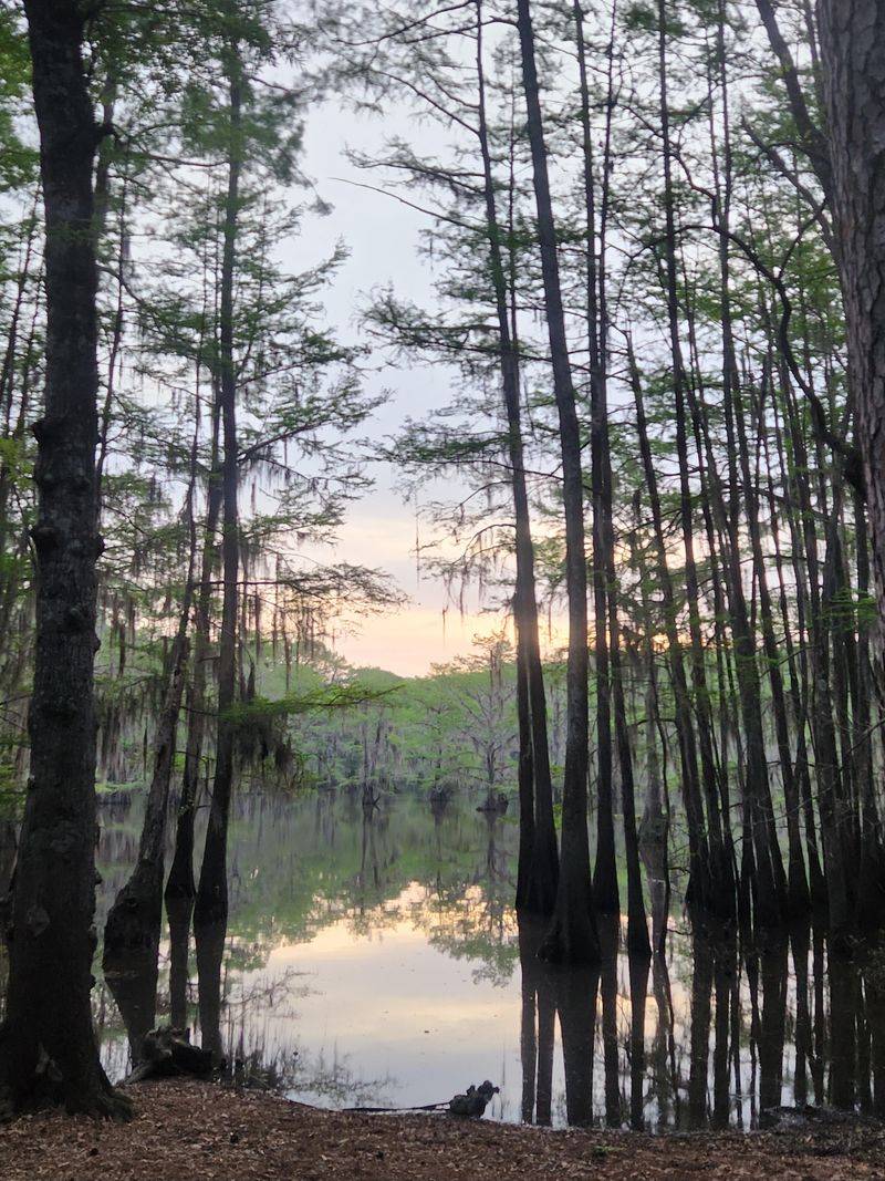 Caddo Lake State Park (Karnack)