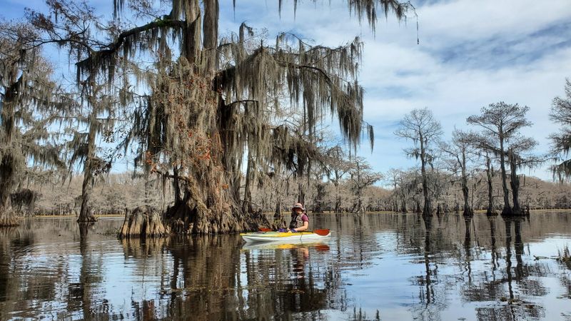 Caddo Lake State Park (Karnack)