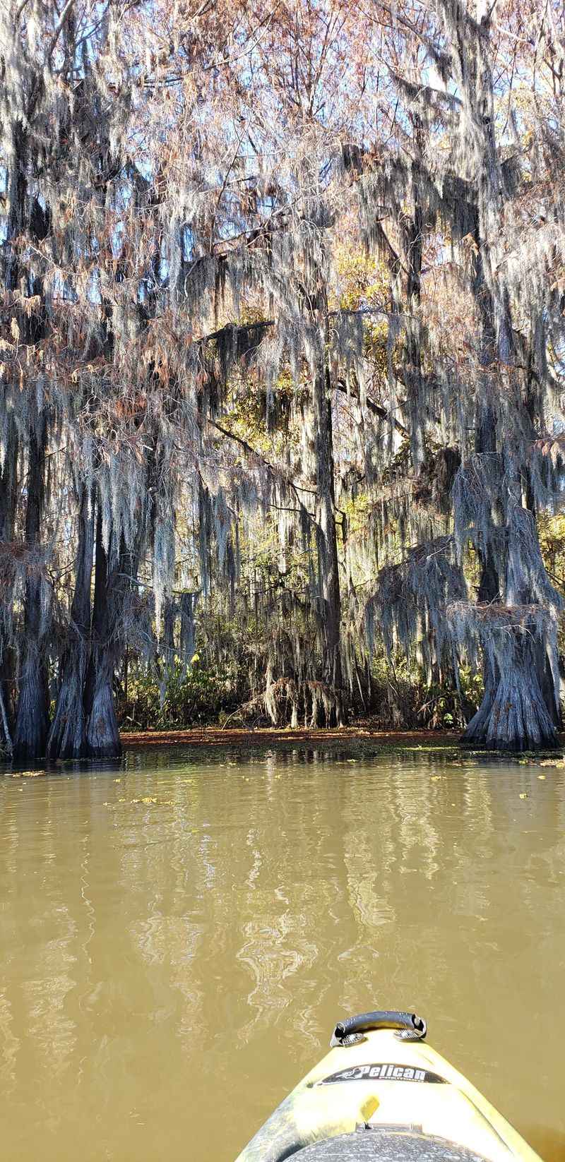 Caddo Lake State Park (Karnack)