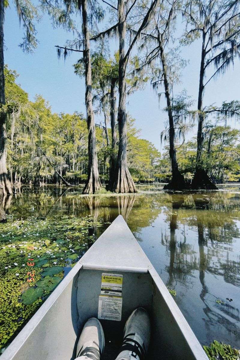 Caddo Lake State Park (Karnack)