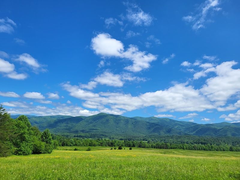 Cades Cove Cades Cove