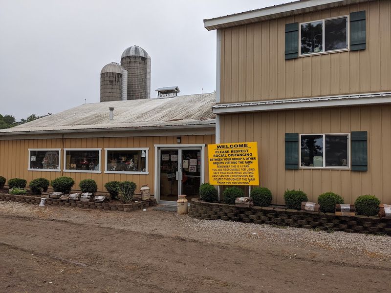 Calder Dairy And Farm