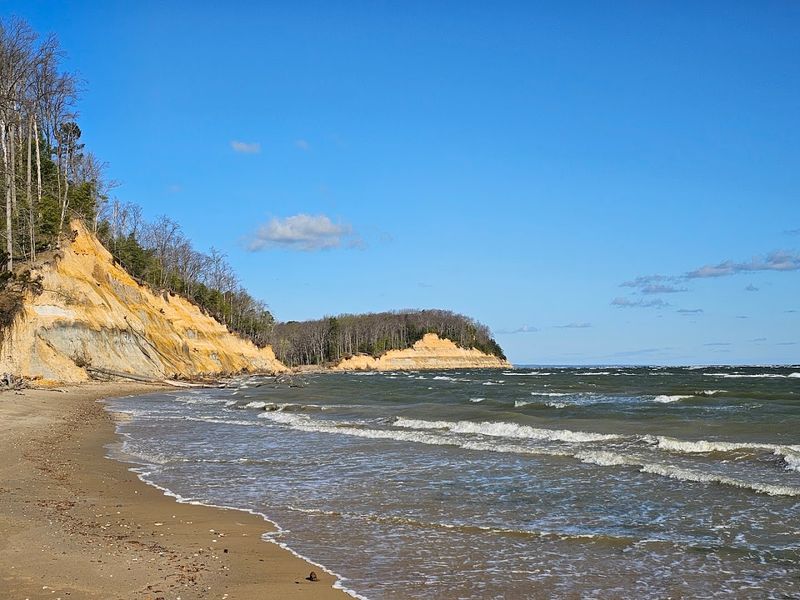 Calvert Cliffs State Park Calvert Cliffs State Park